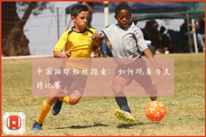 中国排球粉丝指南:如何观看与支持比赛